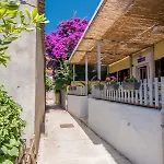Flora אכסניה *