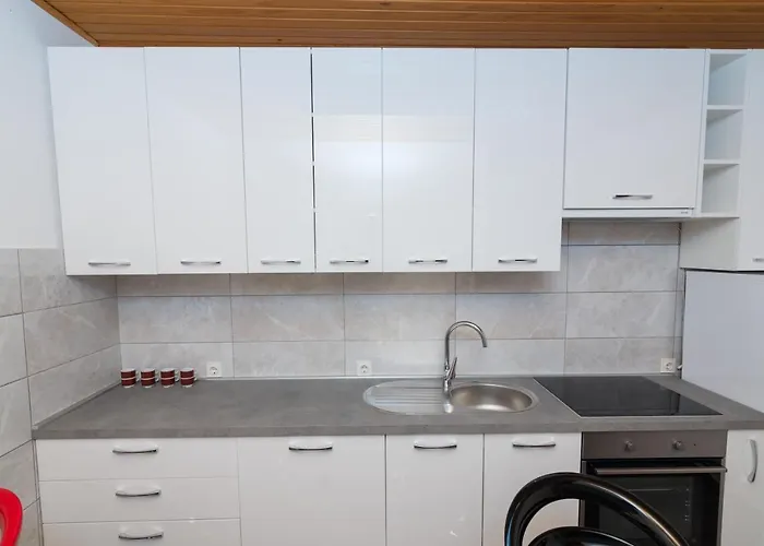 Flora Auberge de jeunesse